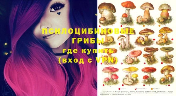 ешки Абинск