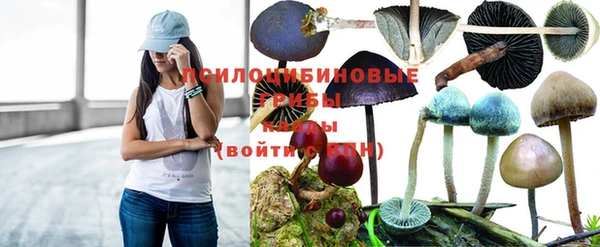 дурь Абдулино